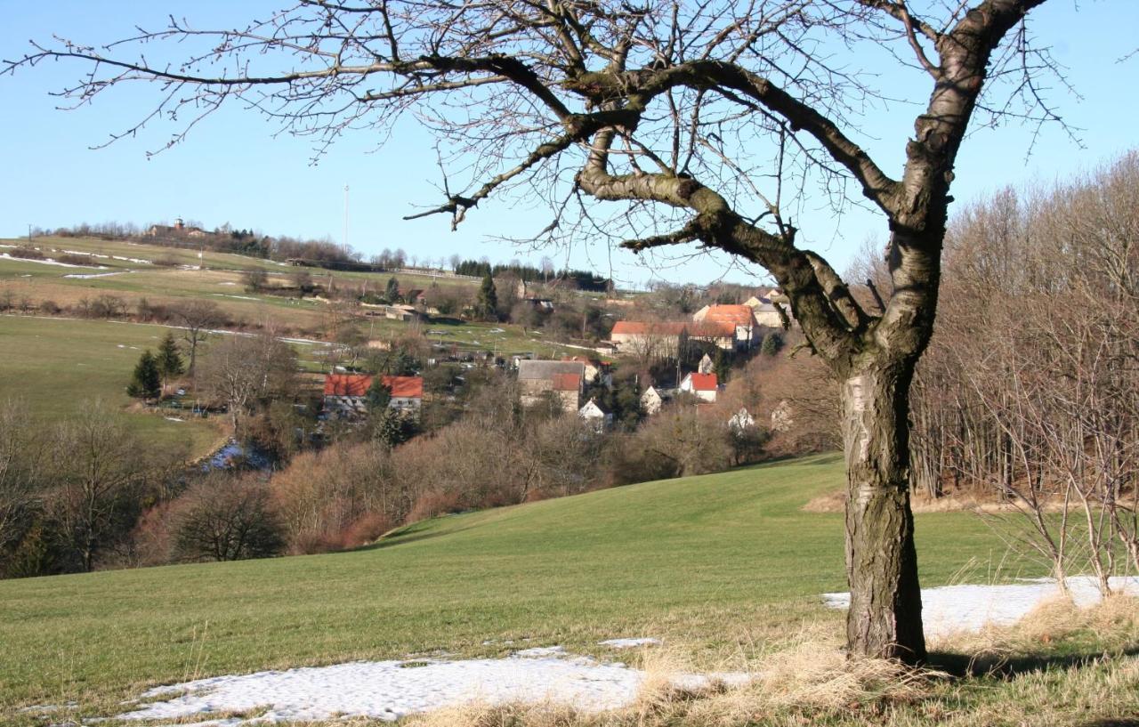 Fachwerkhaus Maxen Villa Muglitztal Екстериор снимка