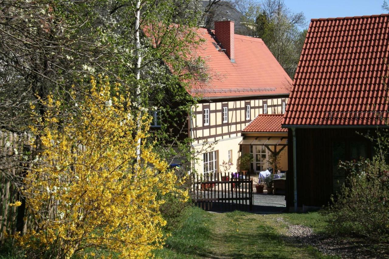 Fachwerkhaus Maxen Villa Muglitztal Екстериор снимка